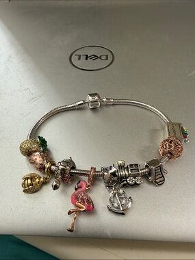 Stunning silver Pandora type 8” charm bracelet with 10 removable charms.